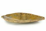 Polished Fossil Coral (Actinocyathus) Dish - Morocco #323041-1